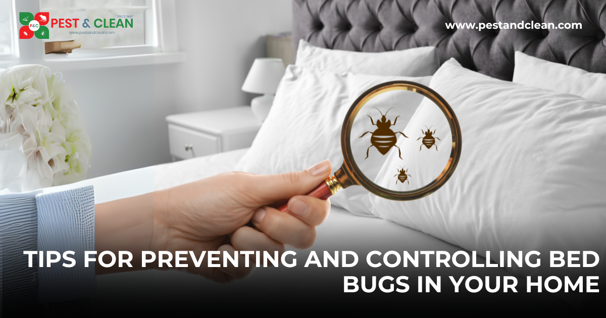 Tips for Preventing and Controlling Bed Bugs in Your Home
